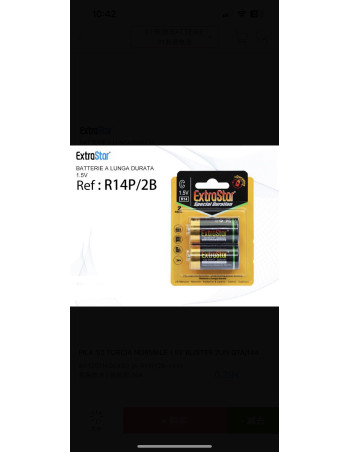 Pila Batteria r14p/2b